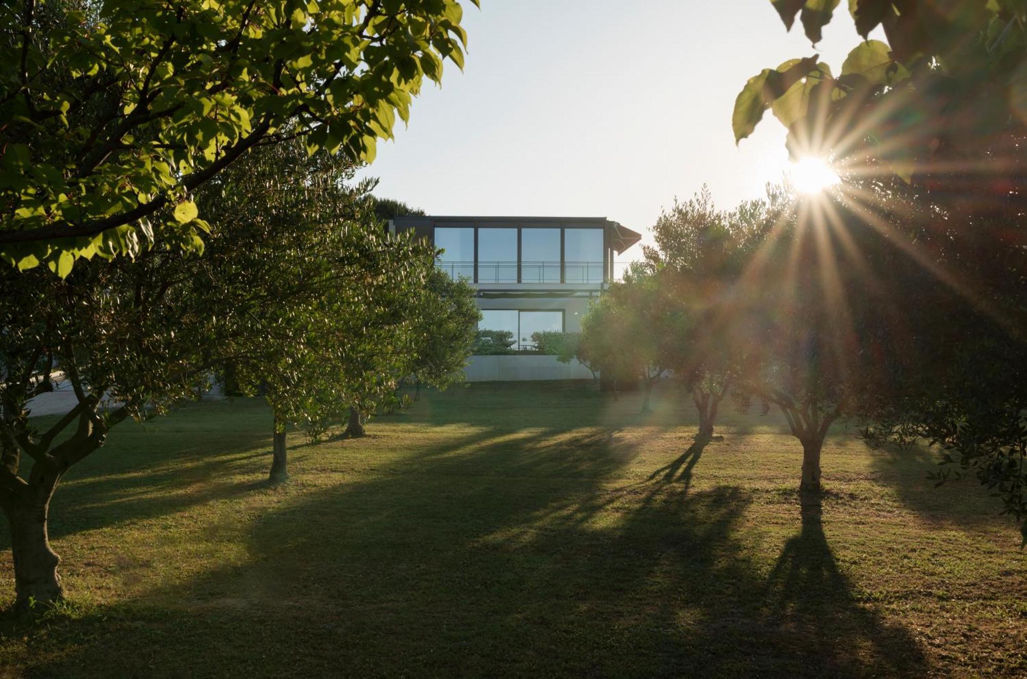 Villa Albina & Domenica Zadar Quarto foto